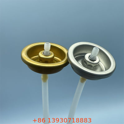 في الليل صمام رش الجسم لإصلاح روتينات العناية بالبشرة في المساء مع رش هادئ ومخرج ضباب مغذي